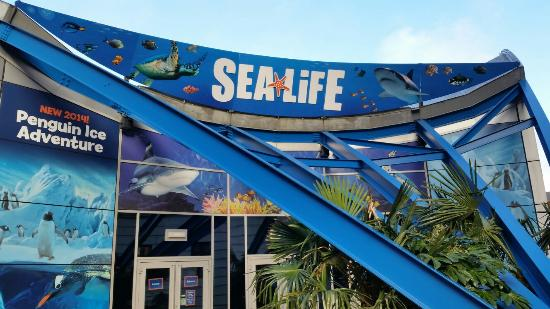 Birmingham Sealife Centre